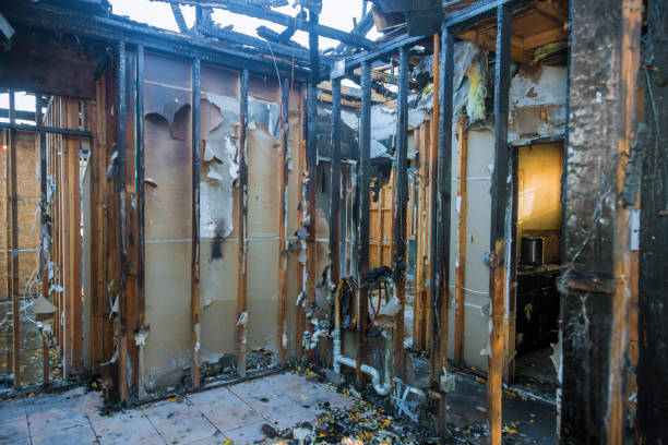 Professional Soot Cleanup technician working in Christmas, FL